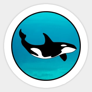 Orca Sticker